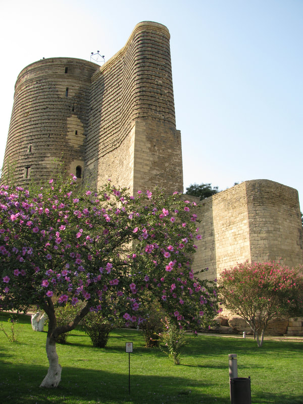 Picture